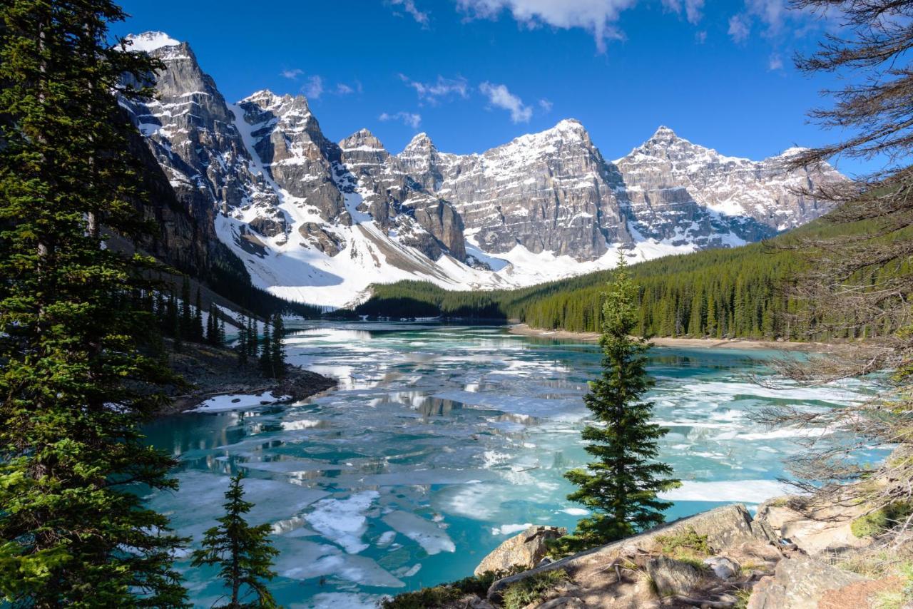 Spectacular Mountain View Corner Unit Pool Hot Tub Park Pass Apartment Canmore Bagian luar foto